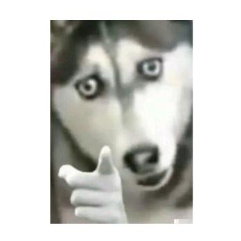 攴㒱円