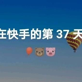 总舵主