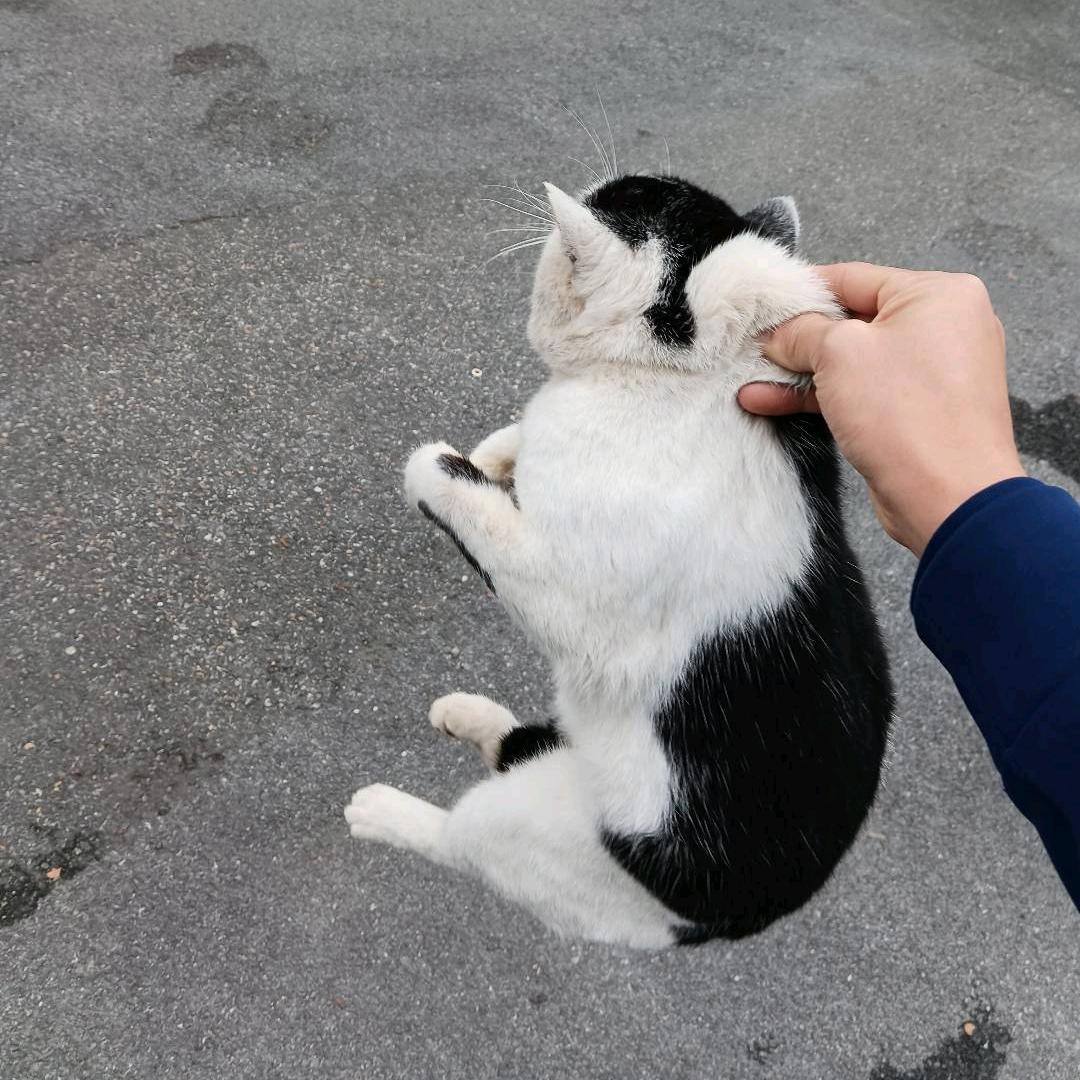 ①