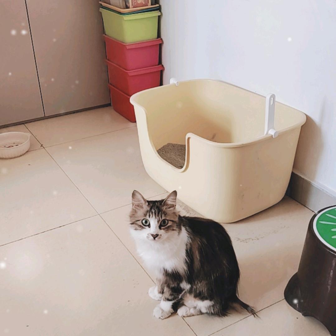 魏振华