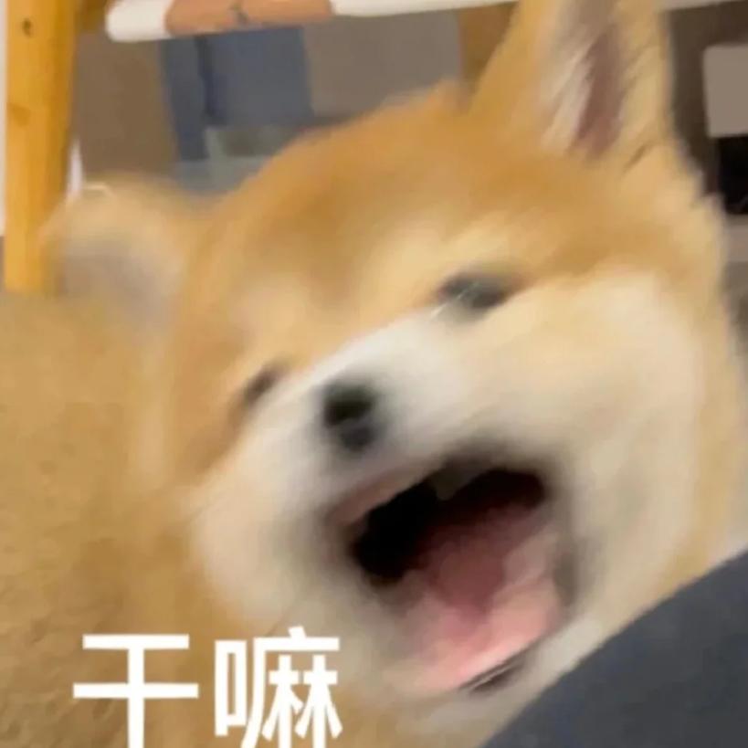 搞笑视频（福利版）