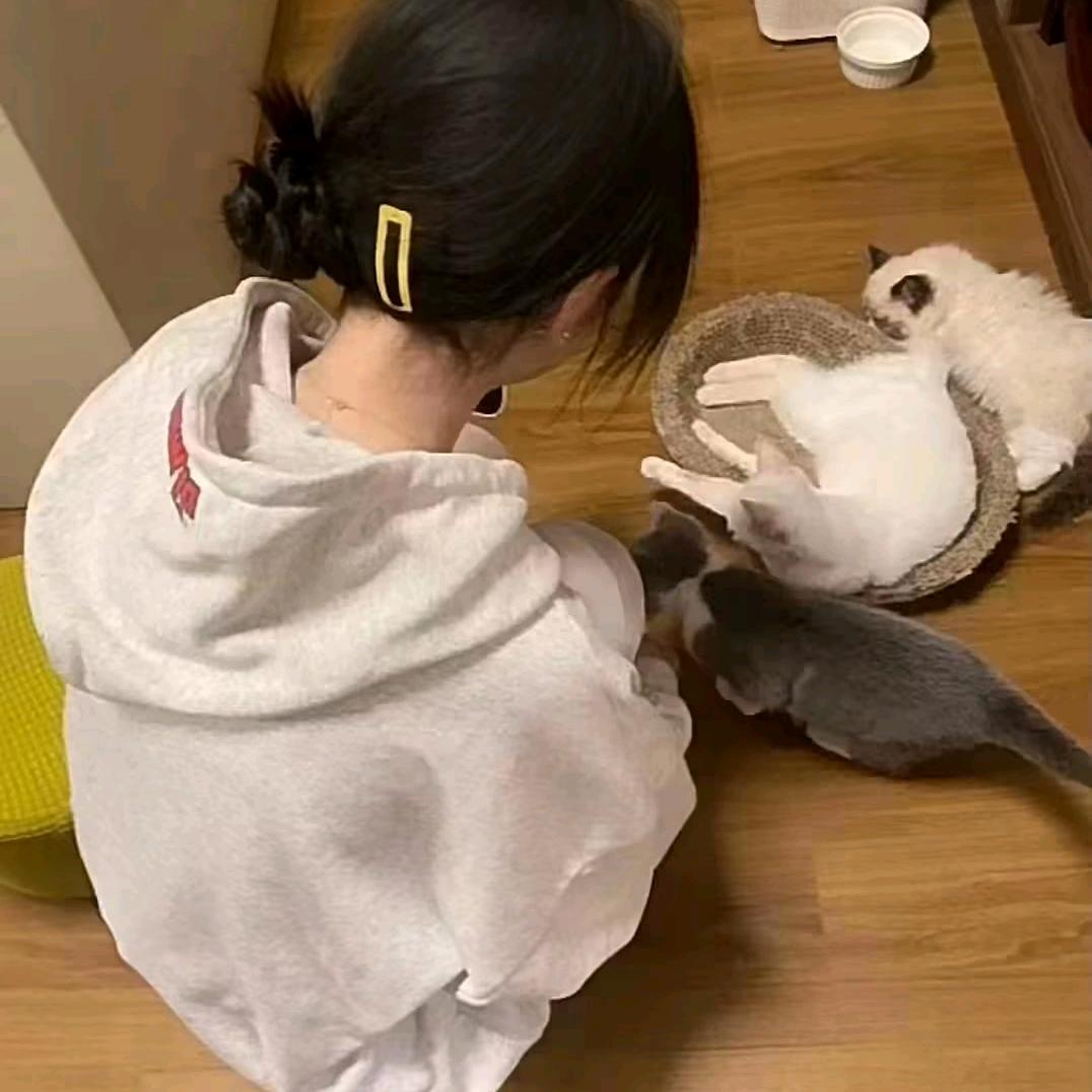 ᵇᵘ想上学