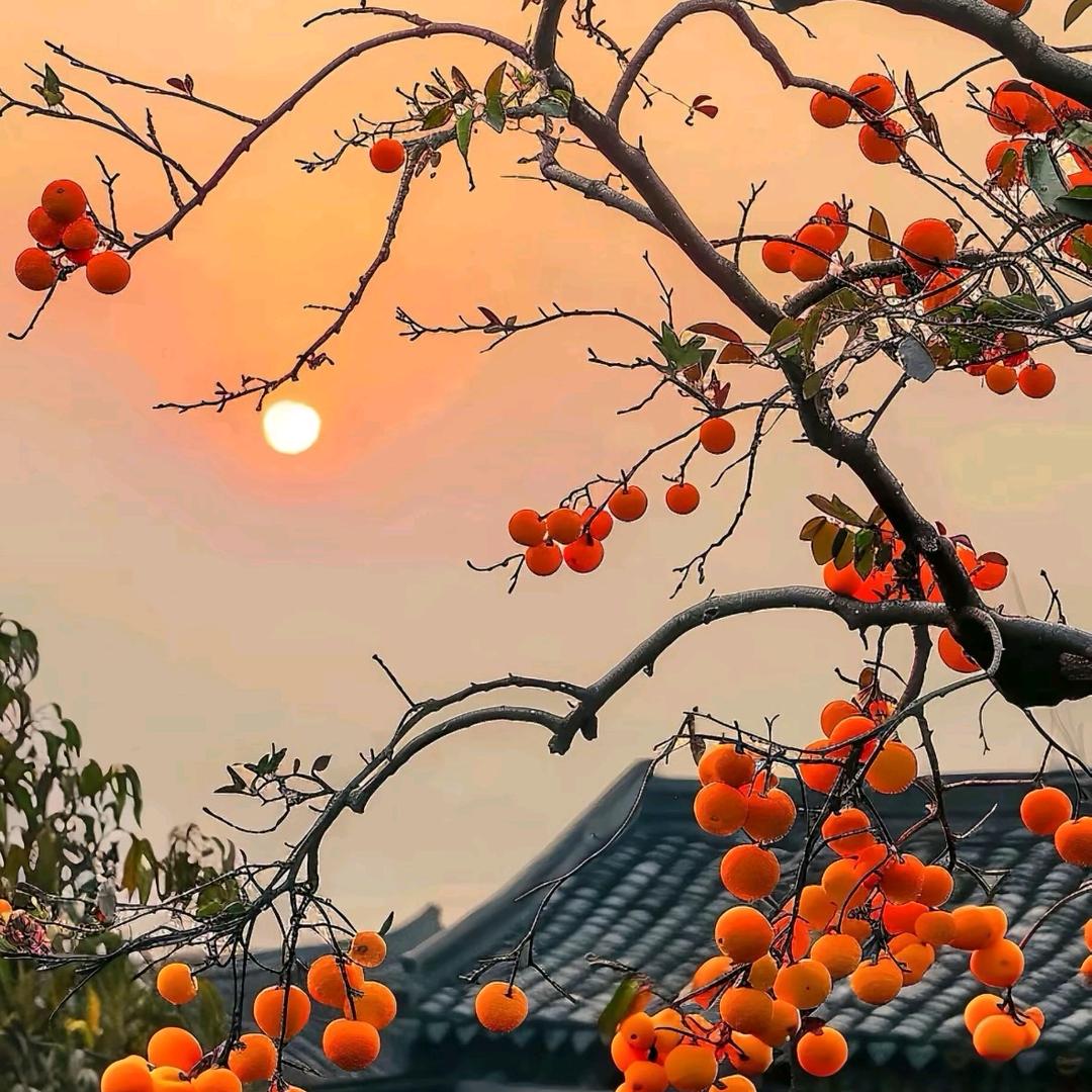 砚海招财