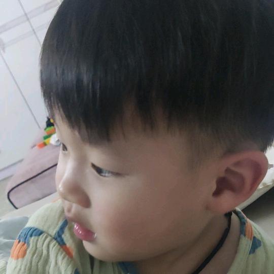 刘振汉