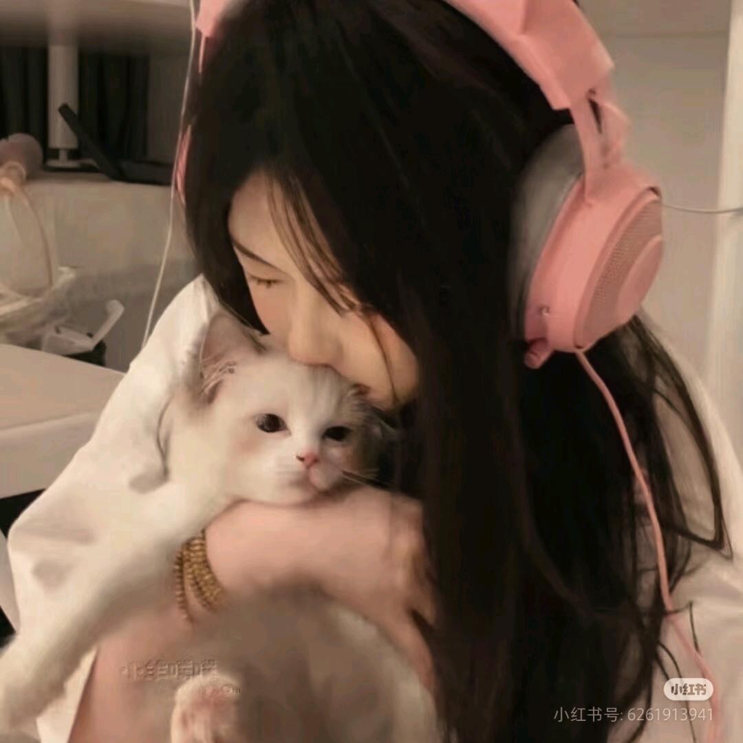 小D