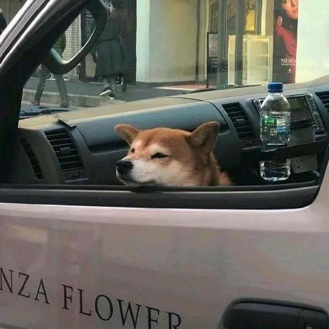 ζう.