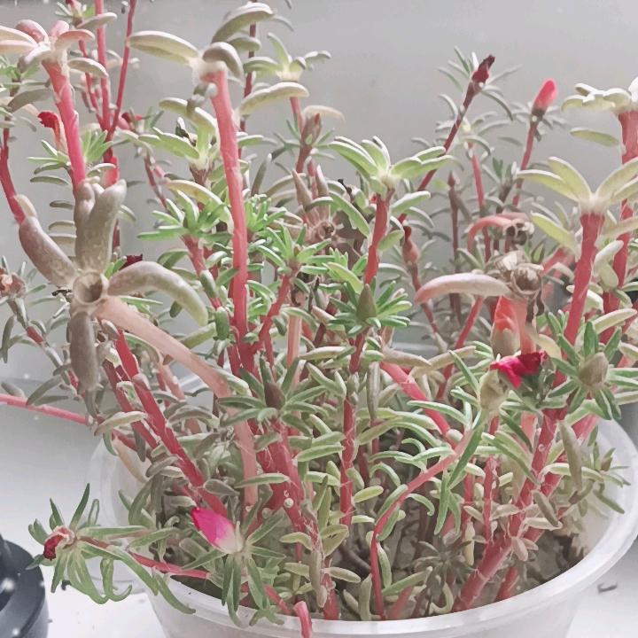 过好每一天