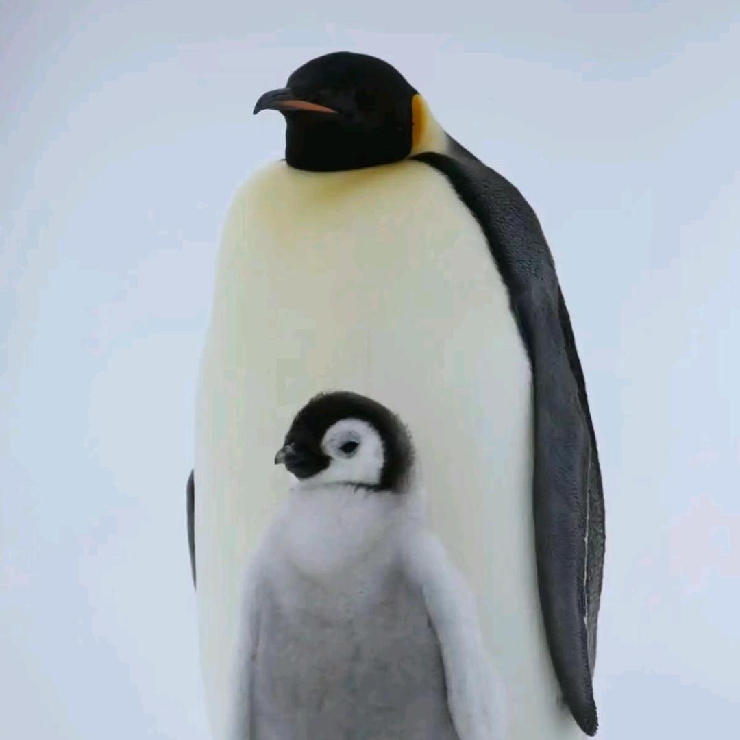 乡村露天电影