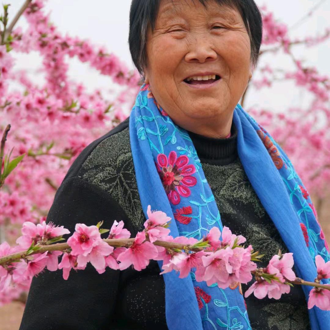 农村老太太（励志创业版）