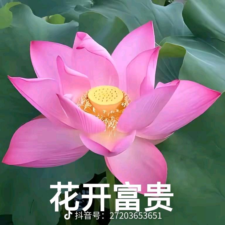 小宇