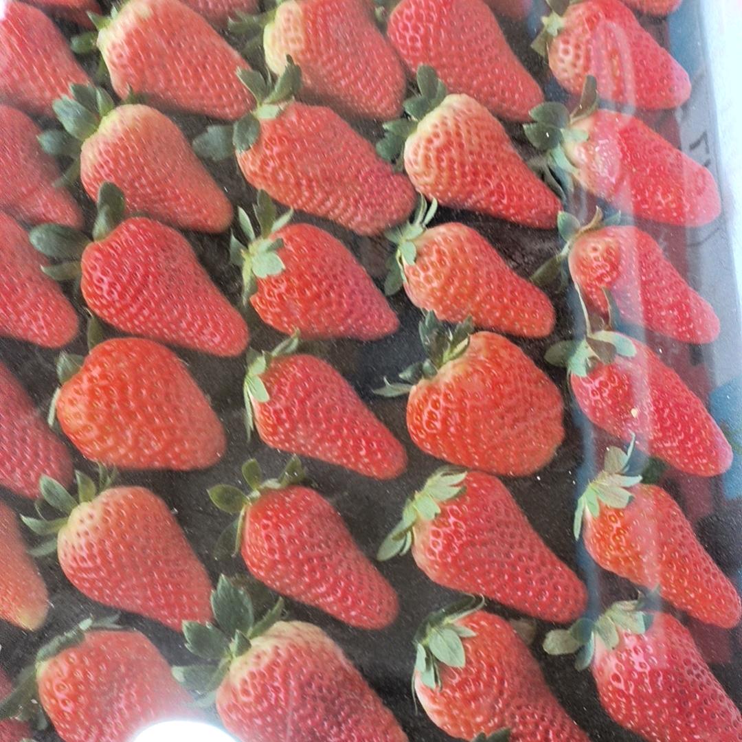 小鱼儿