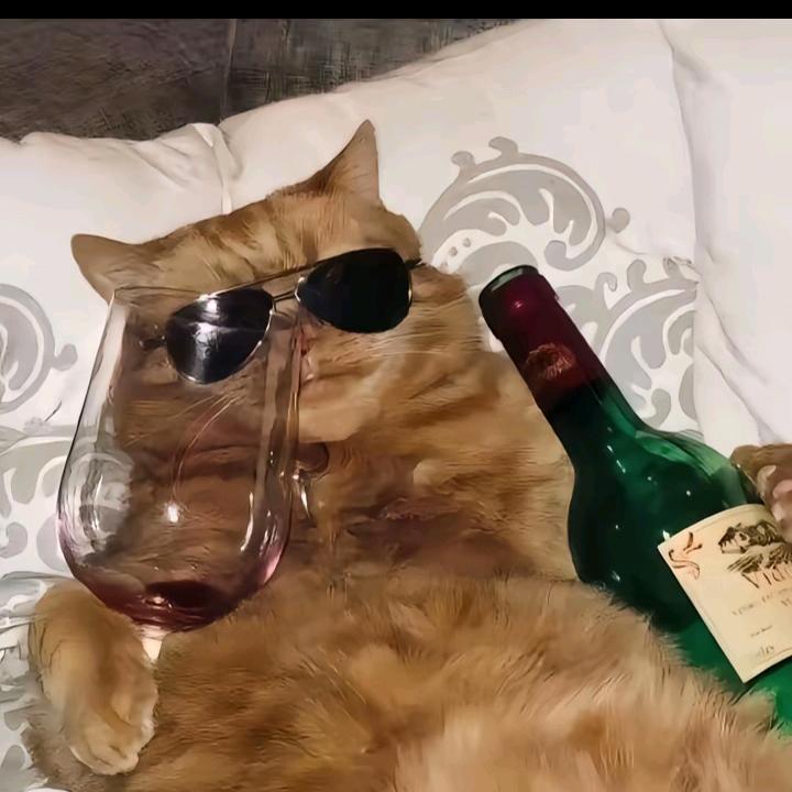 蓝桉