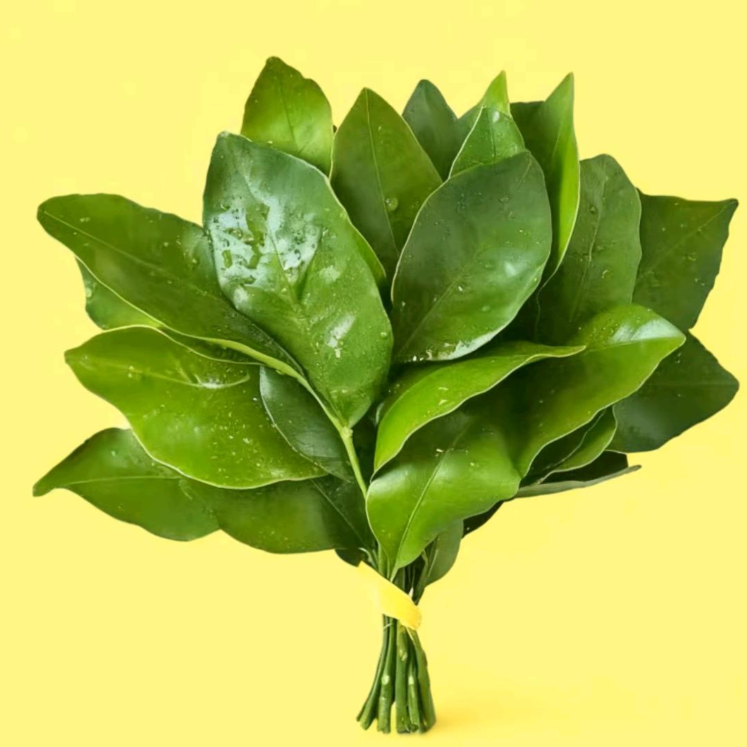 惠美天花装饰（春天哥）