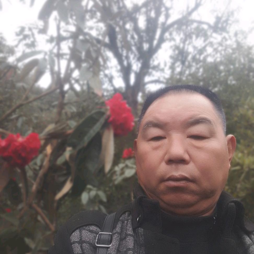 永远消遥自在