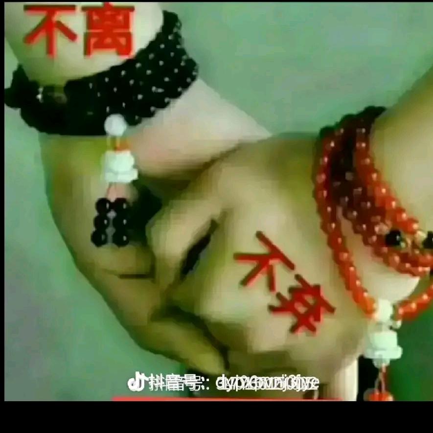 🌹美🌺好💐的🌻回🌲忆🍀