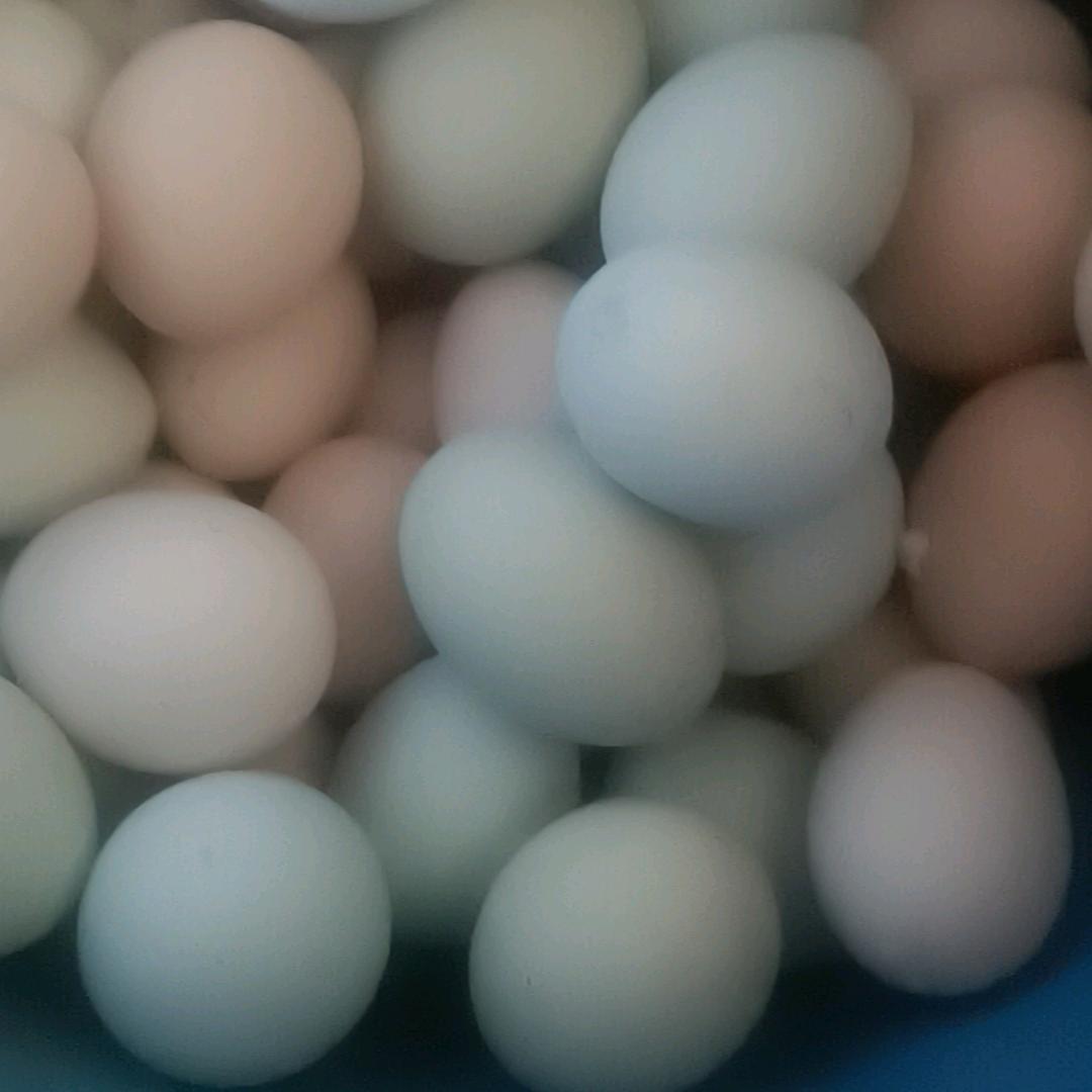 在郓城卖虫草笨鸡蛋的李哥