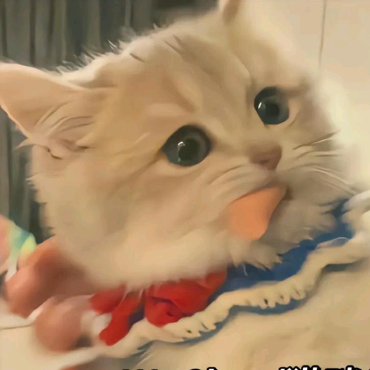 乌市短租小助手