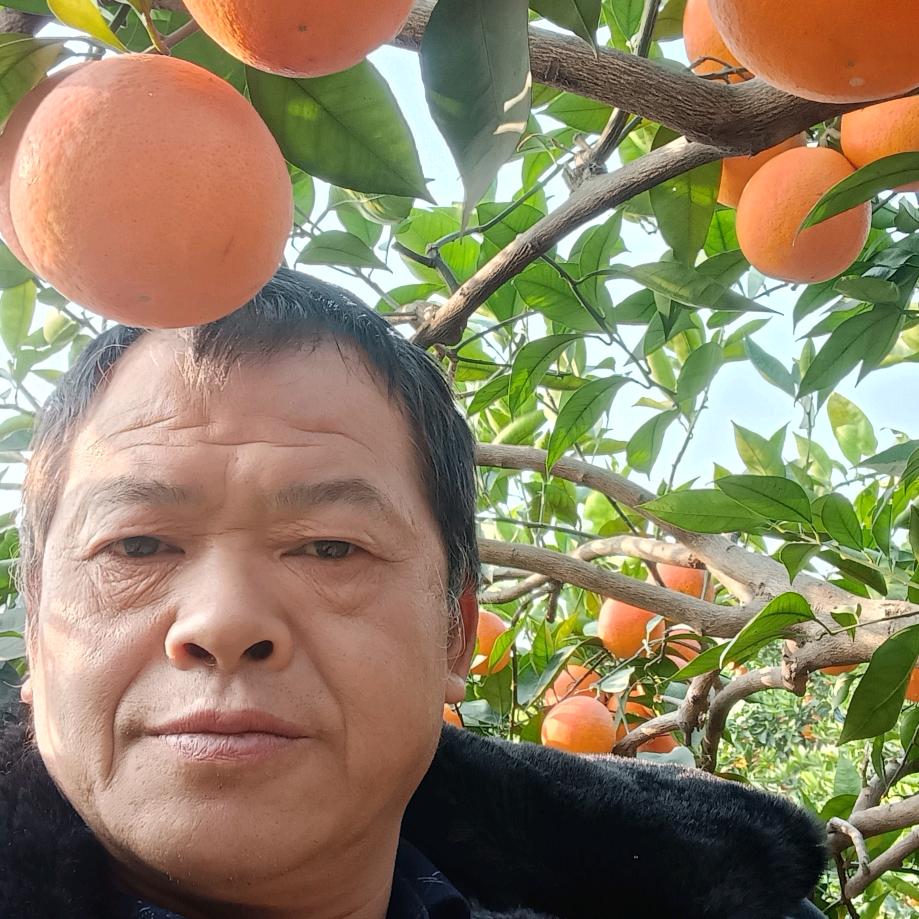 快乐单身