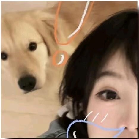 自由海