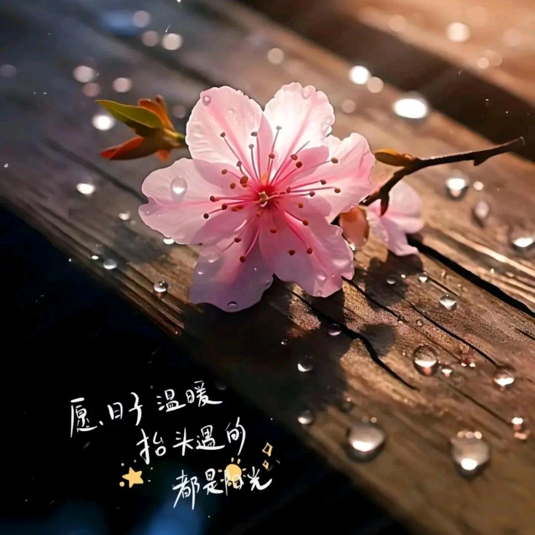 丁丁东东小可爱