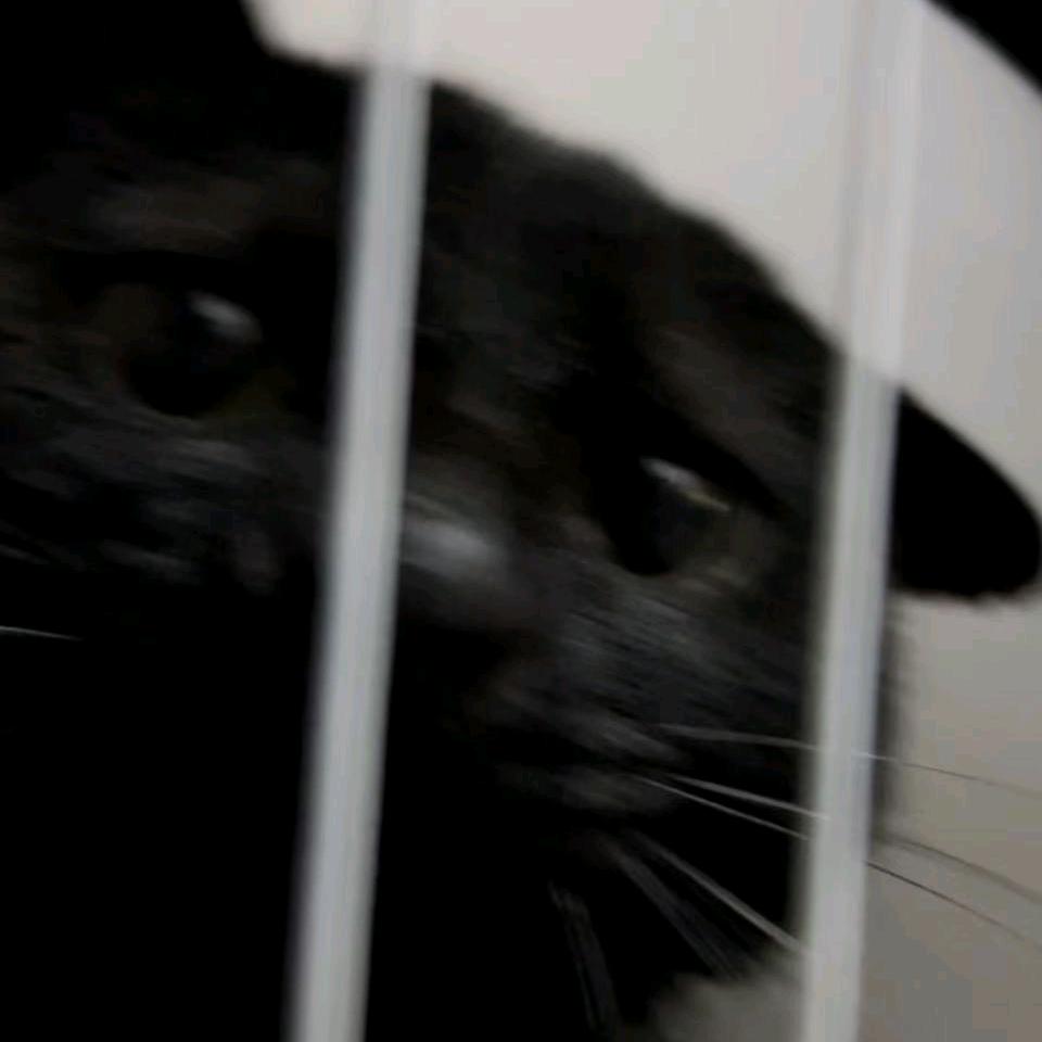 AAA大运重卡瑞哥（只跑国道）