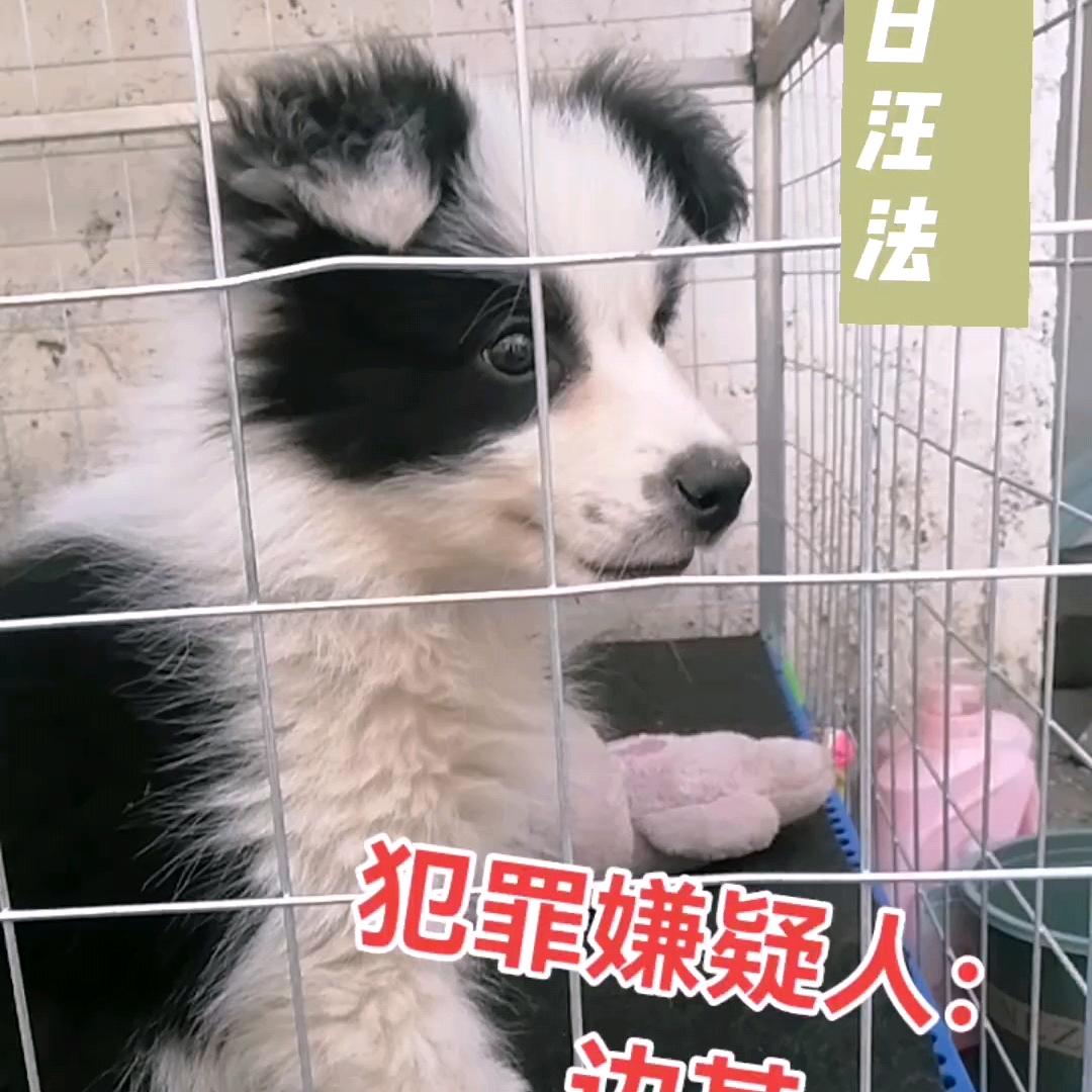 阿牧