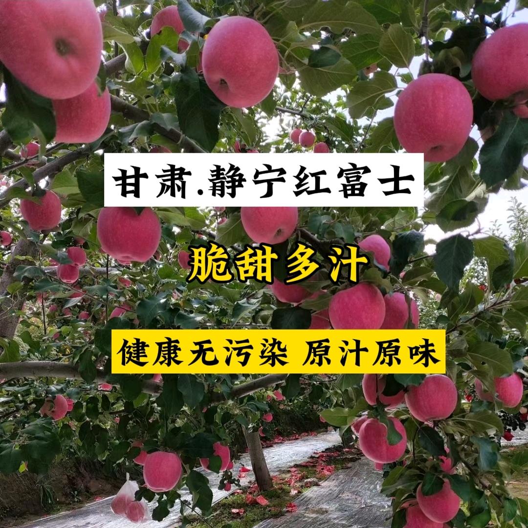 甘肃.静宁红