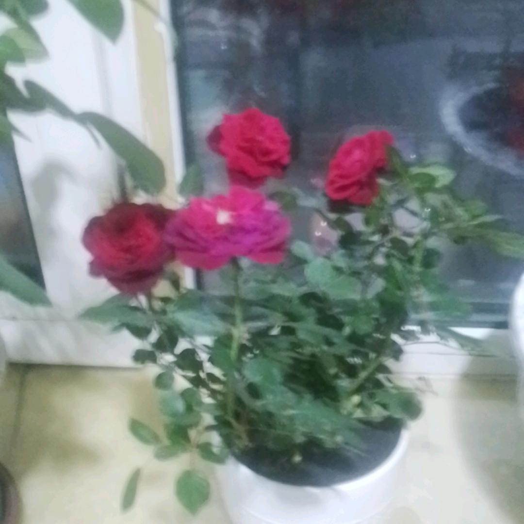 人生美好