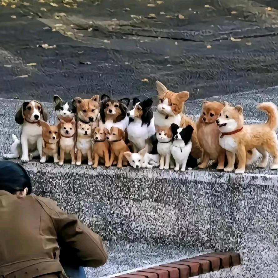 开芯