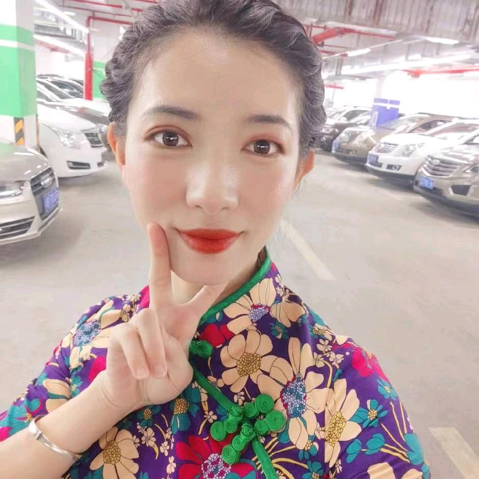 上海燕子二手车