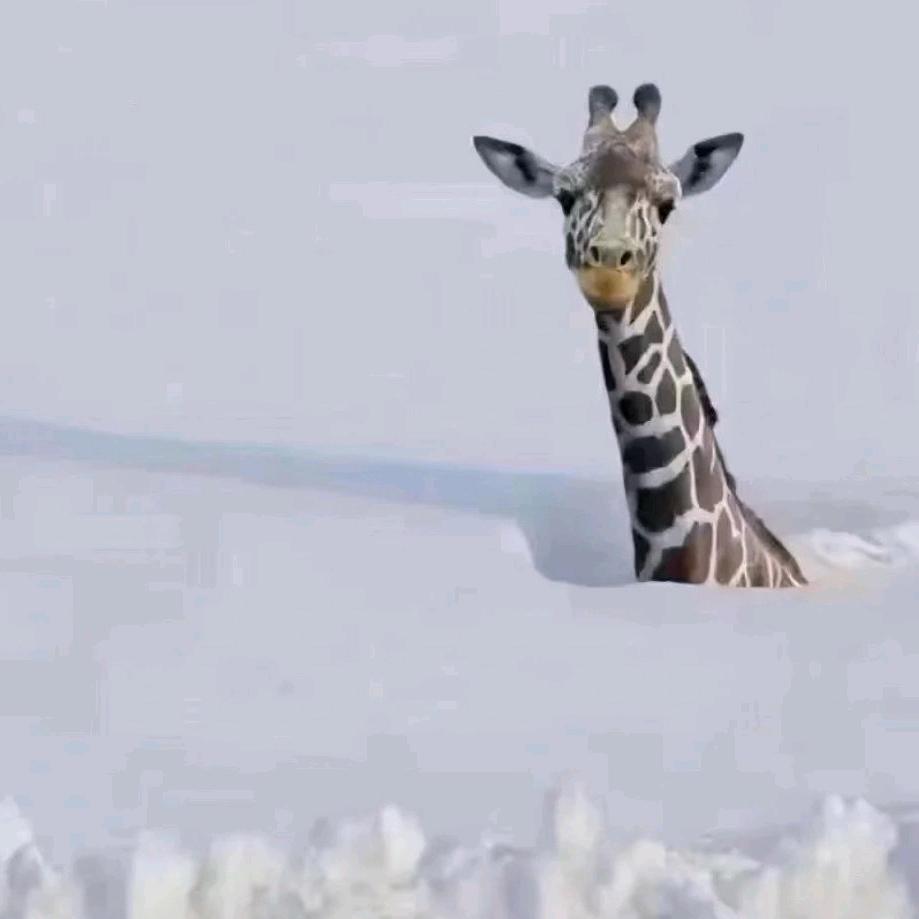 走走停停的约翰