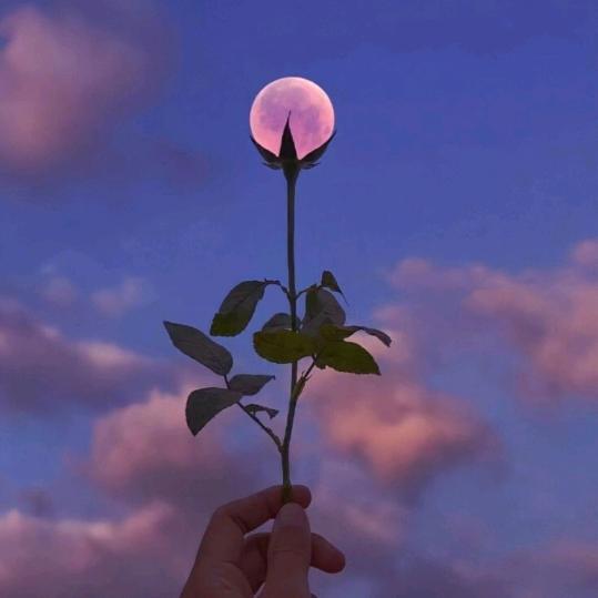 钞票好多  张女士🐰