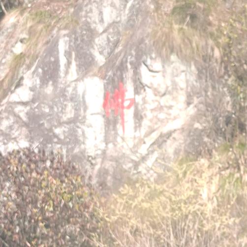 幸福的人👪👏746277026434