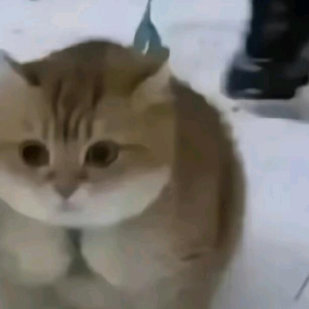 时间好快