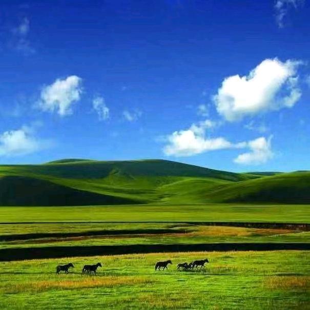 大美微山湖