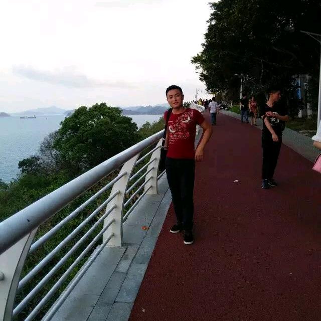 何飞