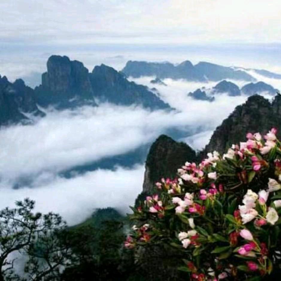 向着阳光