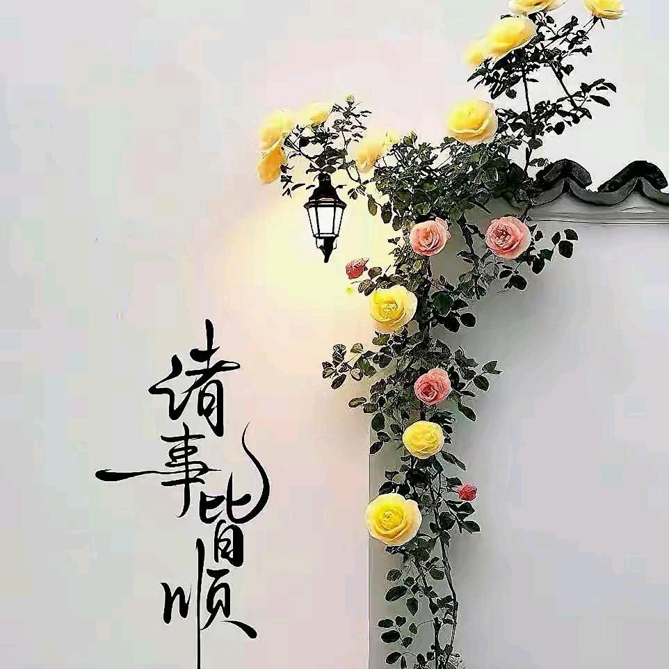 风影