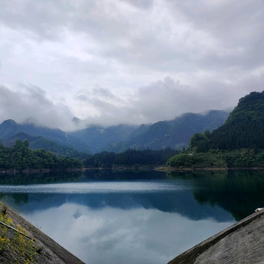 锦鲤(Li)