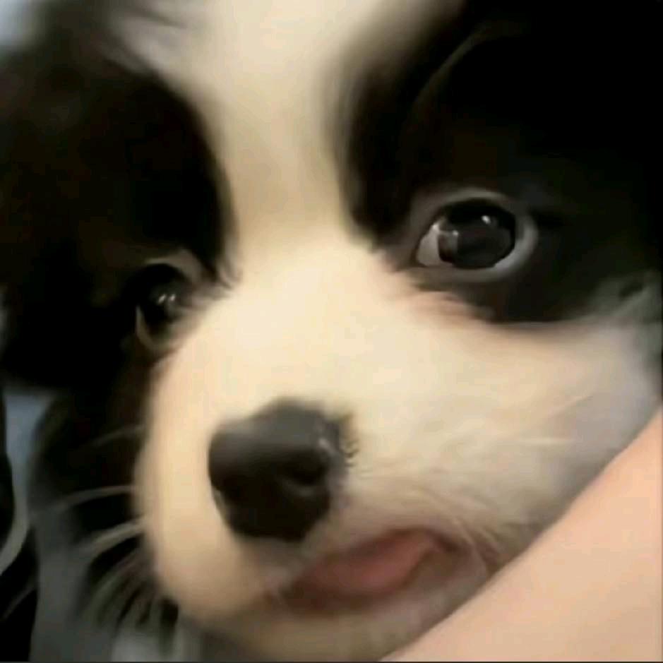 牛爷爷