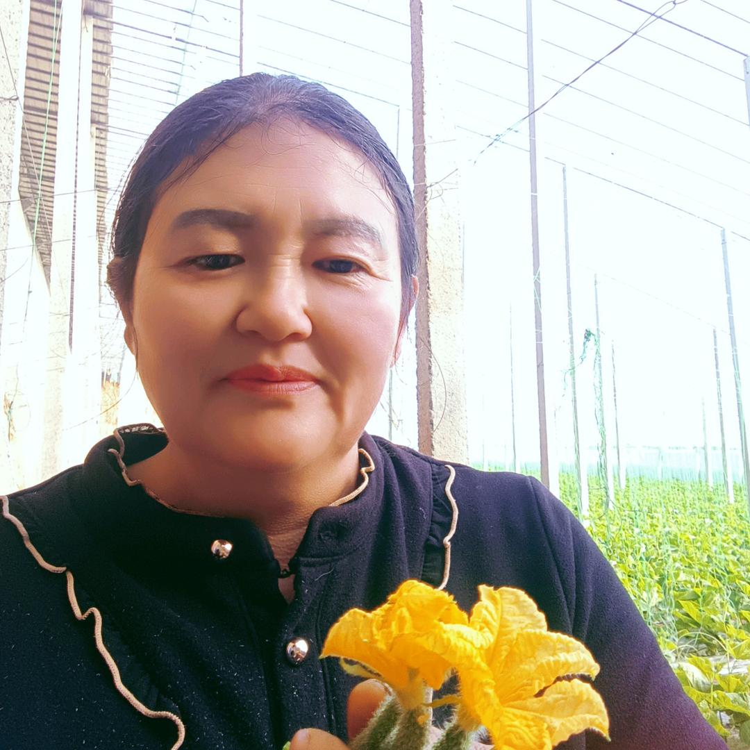 红梅（首播10：10）