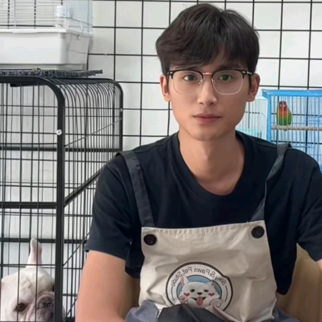 阿灿爱养狗