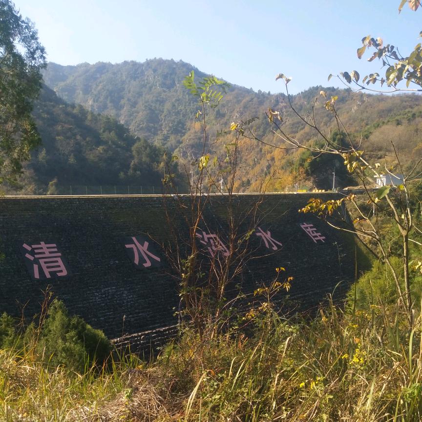 心木决