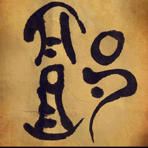 随运而安