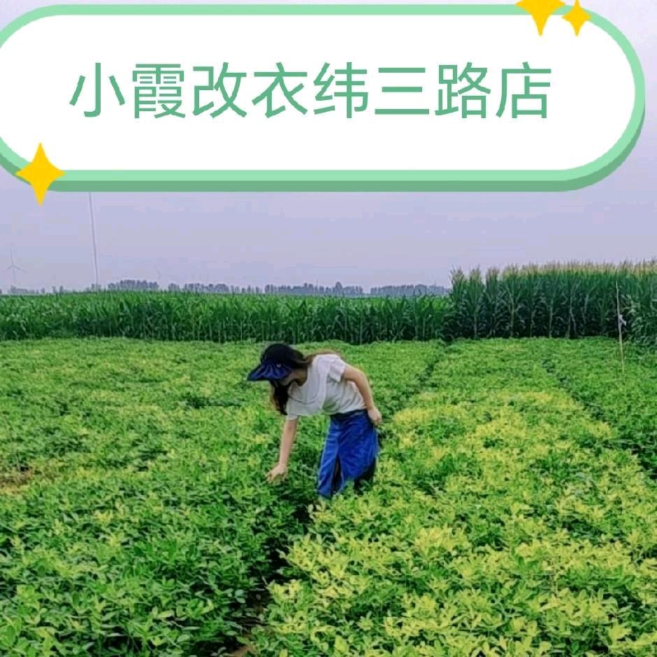 小霞改衣洗衣008