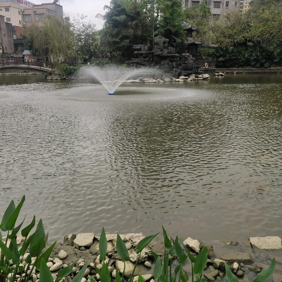 宝戈