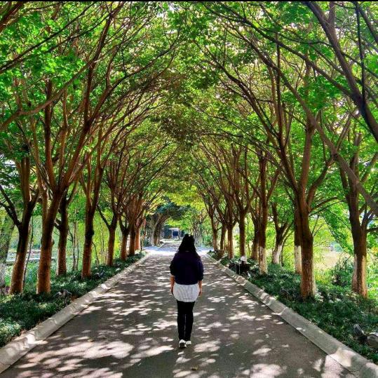 💔心💔静💔如💔水💔