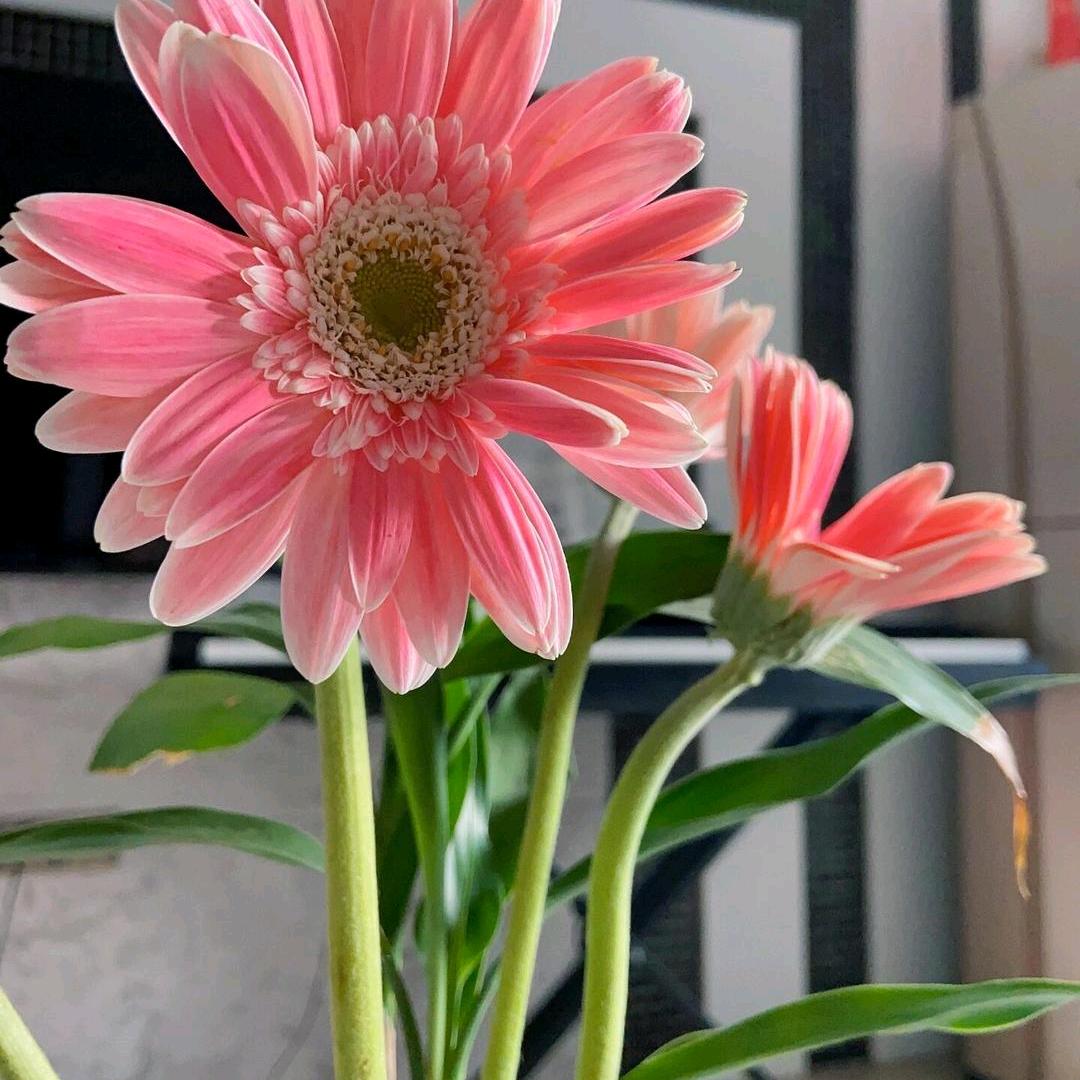 王老师的语文课