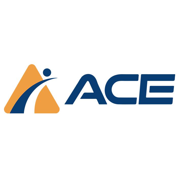ACE供应链创新