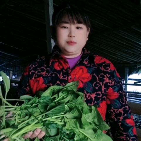 🍀婆婆乐🌻